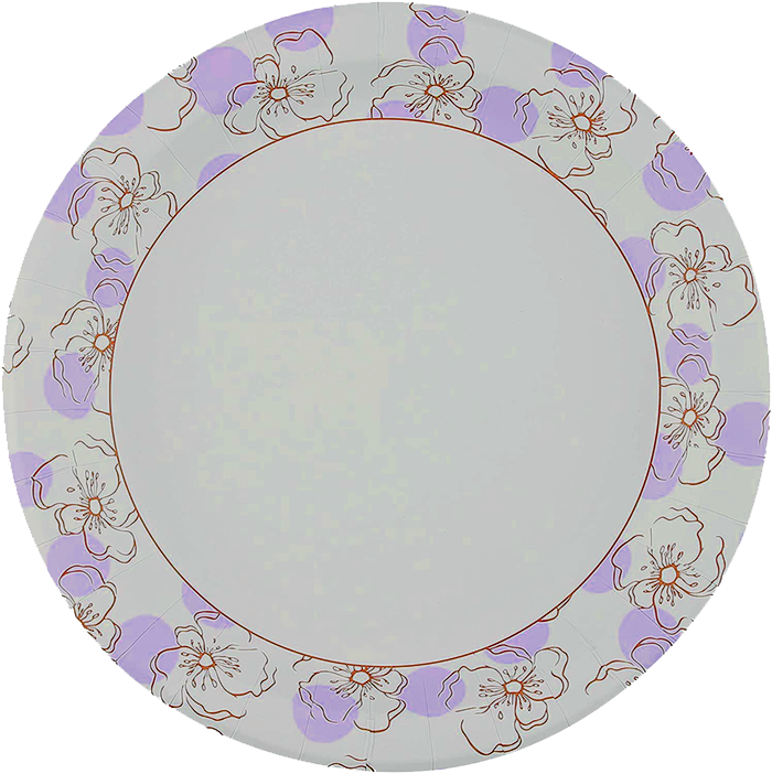 PaperPlate