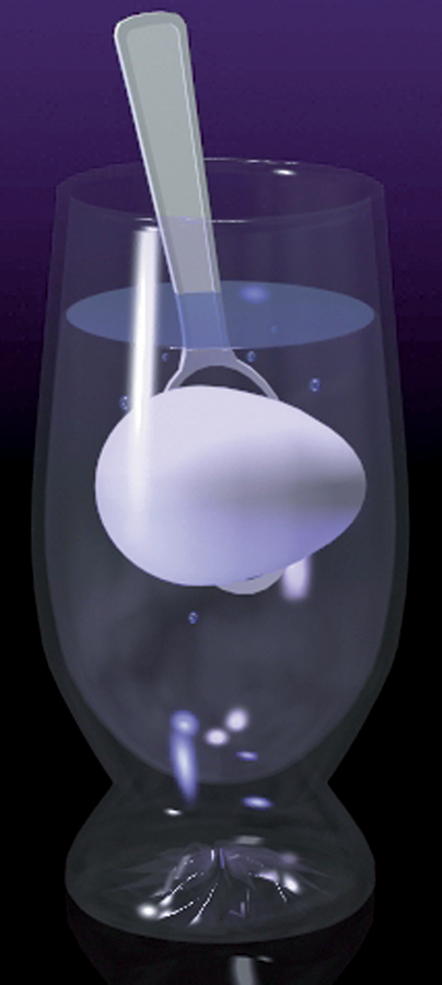SALT0002