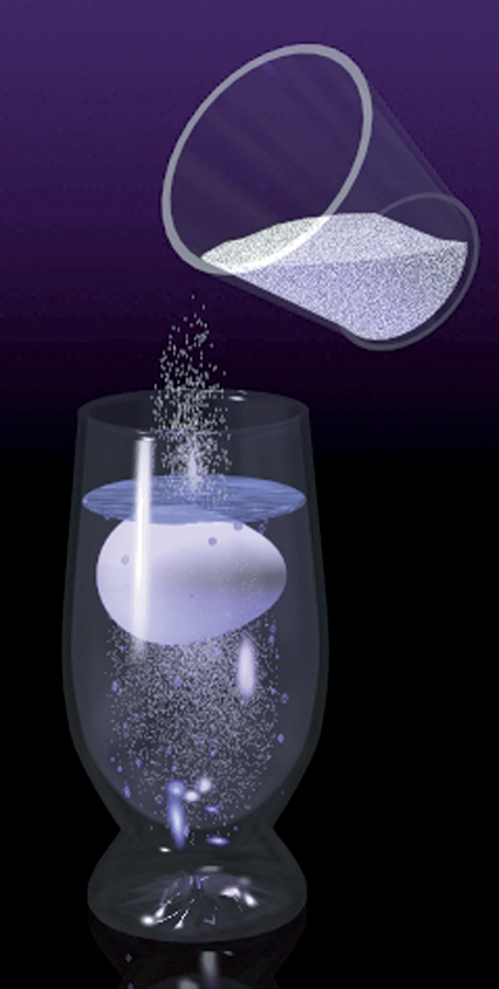 SALT0003