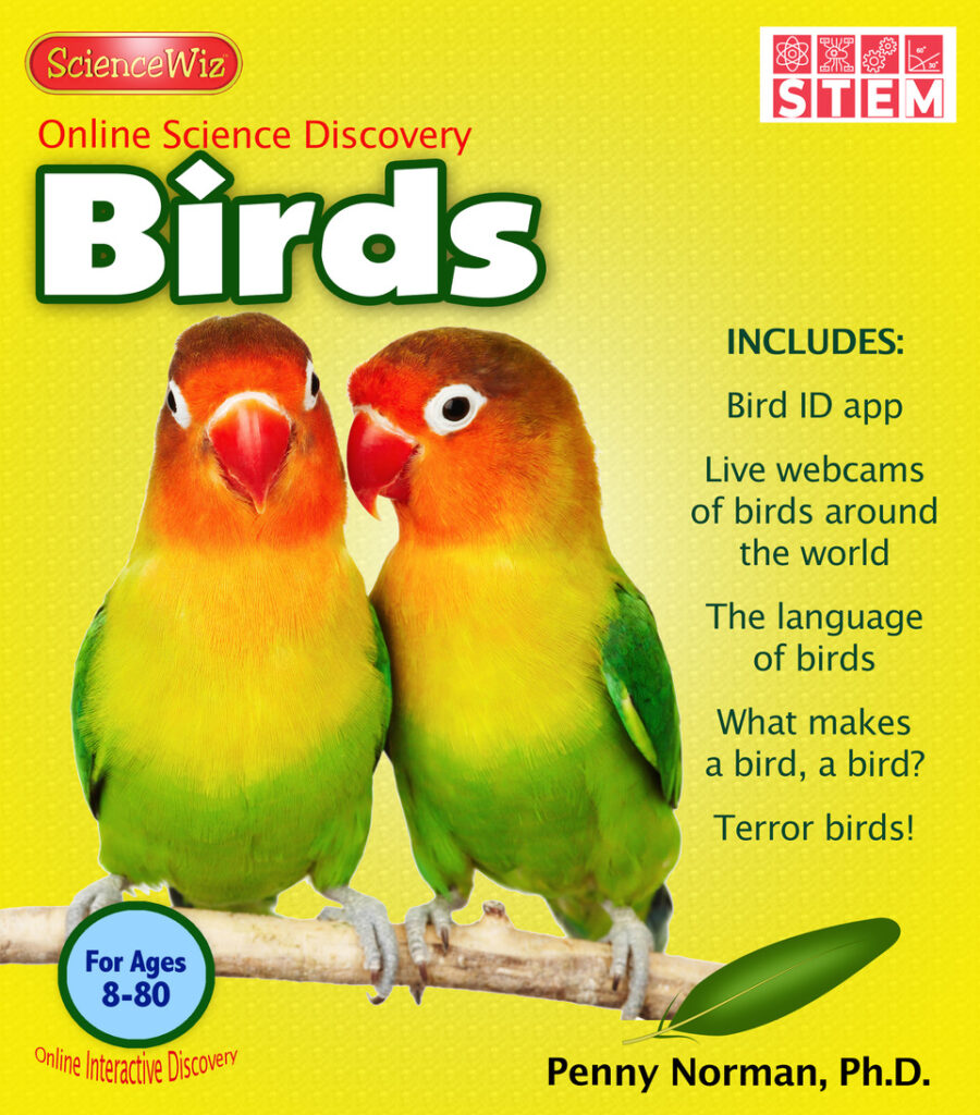 birds-interactive-online-book-sciencewiz
