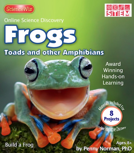 Frogs