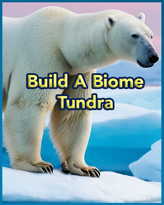 “Tundra