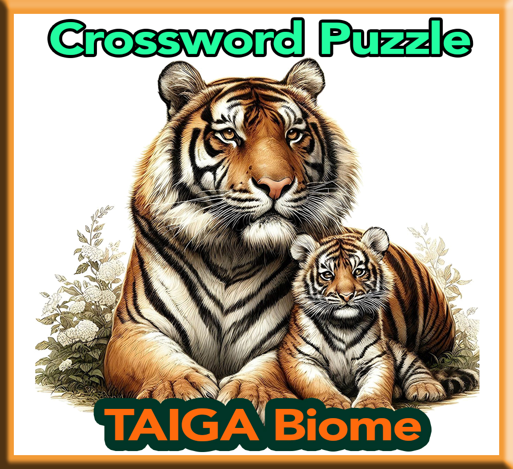 Taiga Crossword Puzzle