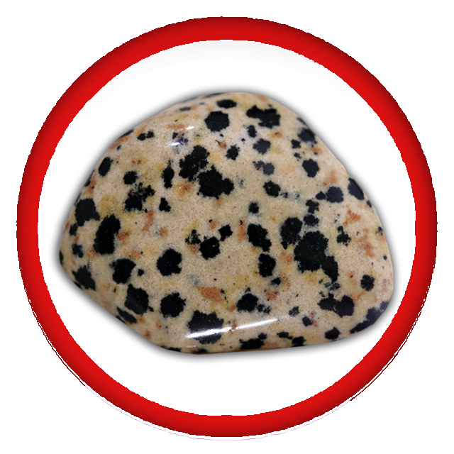 Dalmatian