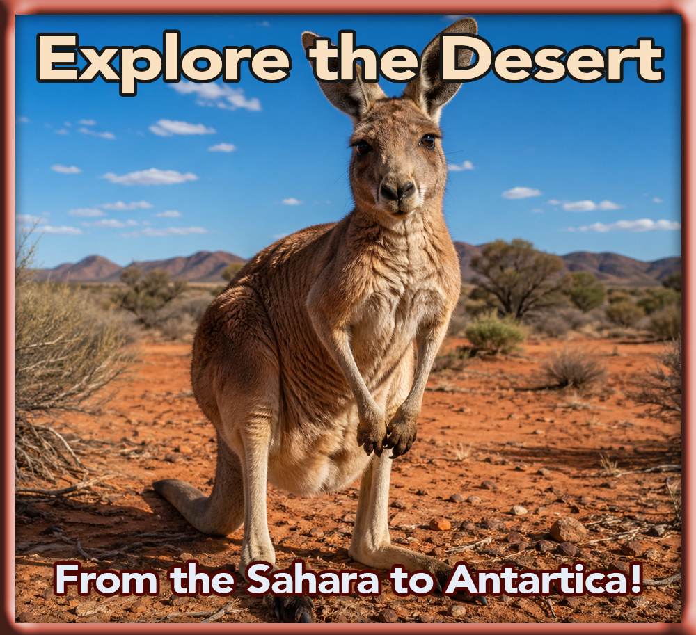 Build a Biome - Desert