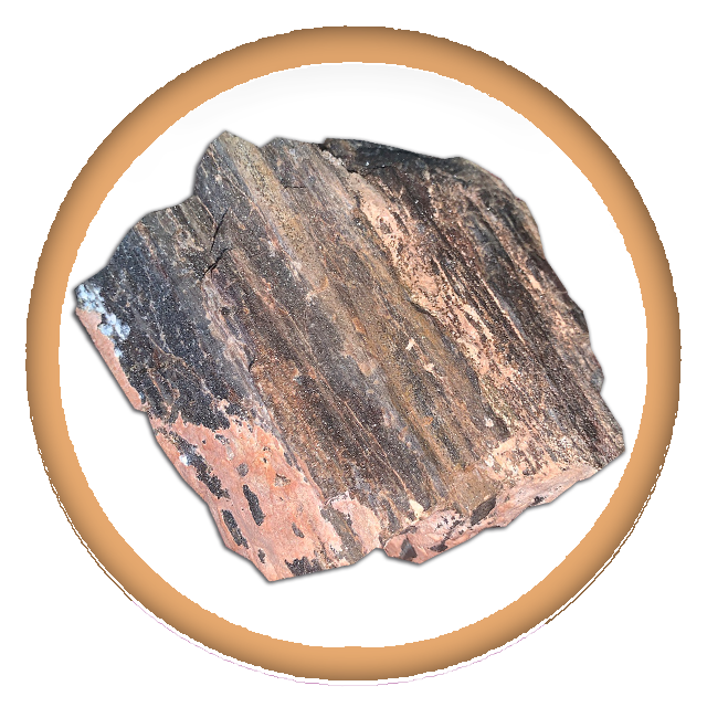 PetrifiedWood
