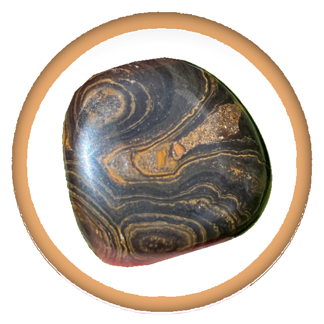 Stomatolites