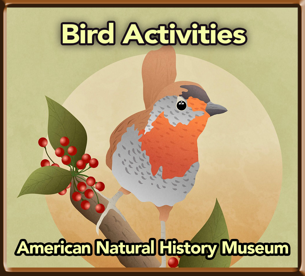 BirdActivity