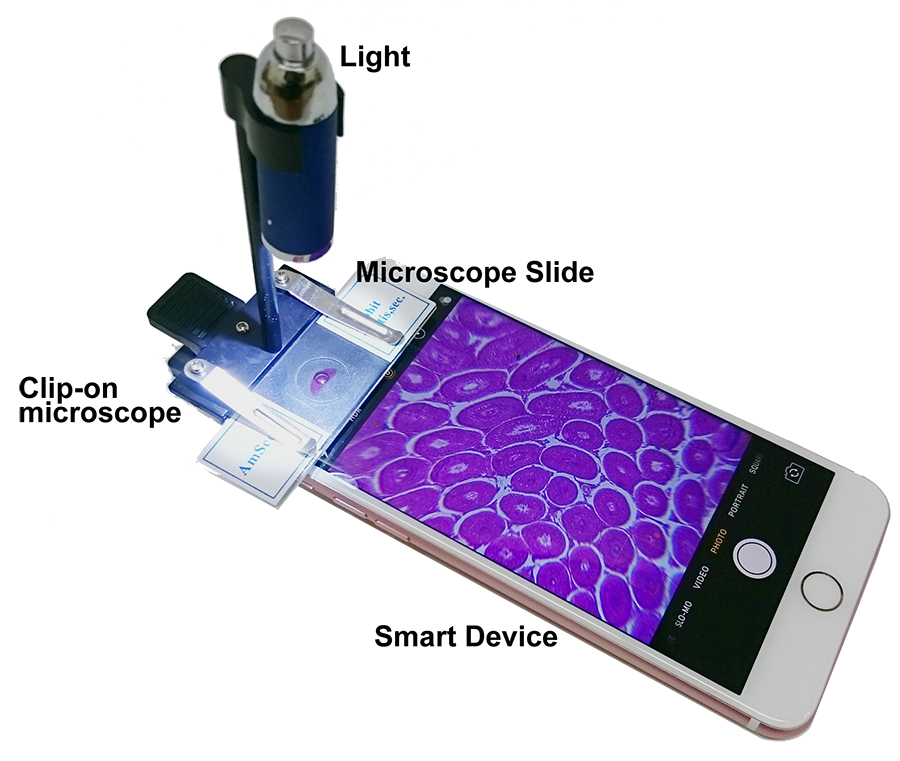 Clip-on microscope in use