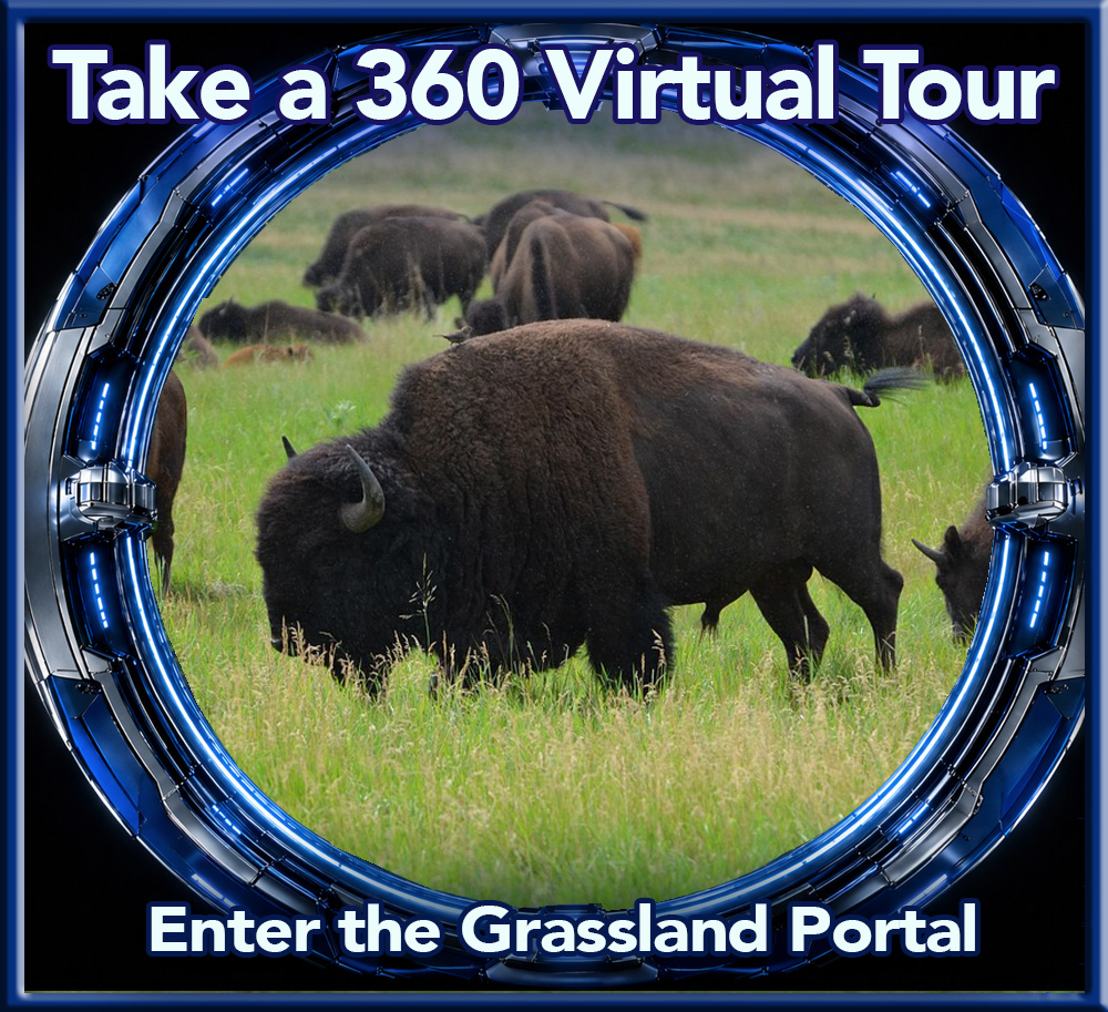 Grassland biome 360 virtual tour
