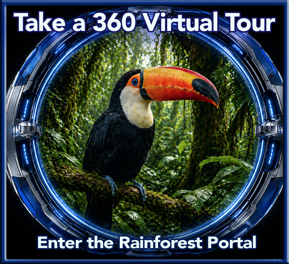 Rainforest biome 360 virtual tour