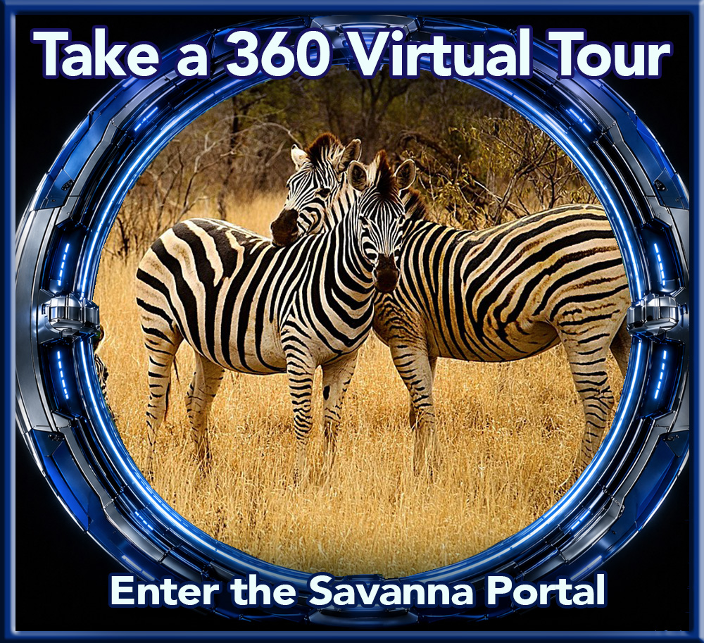 Savanna biome 360 virtual tour