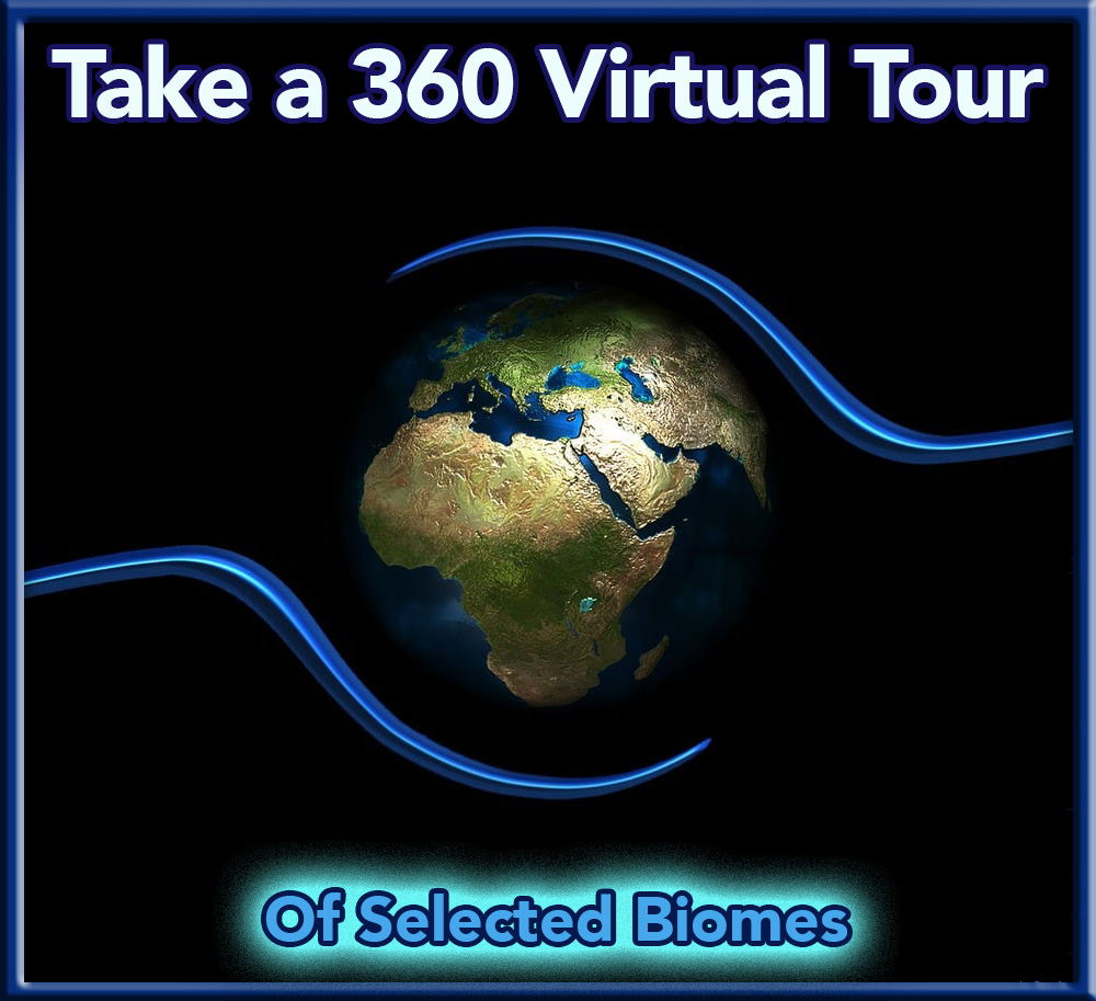 Take a 360 virtual tour of a biome